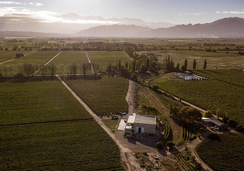 Bodega Piccolo Banfi 1/1, por Piccolo Banfi
